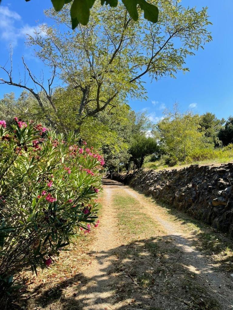 Antico Casale Il Fiorentino Montenero  Εξωτερικό φωτογραφία